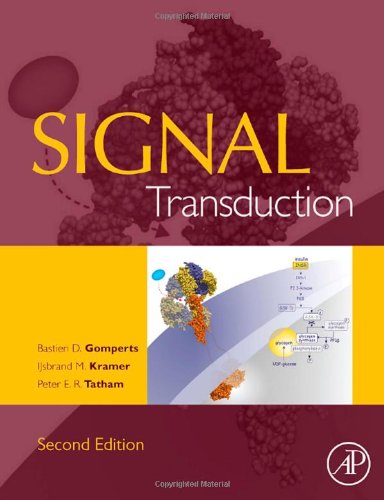 Stock image for Signal Transduction for sale by GF Books, Inc.