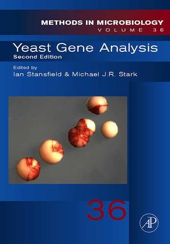 9780123694782: Yeast Gene Analysis (Volume 36) (Methods in Microbiology, Volume 36)