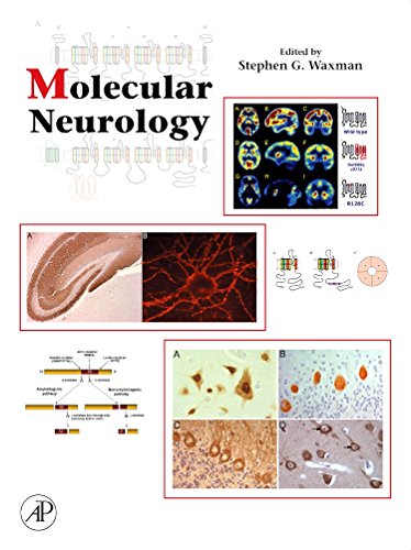 Beispielbild fr Molecular Neurology zum Verkauf von HPB-Red