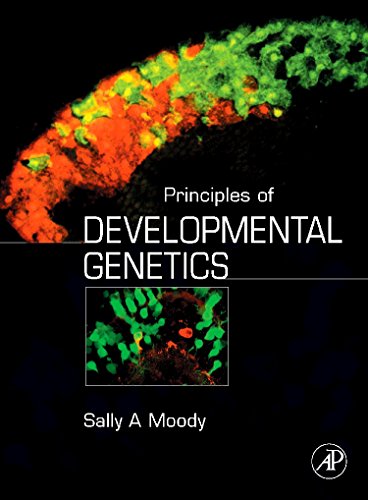 9780123695482: Principles of Developmental Genetics