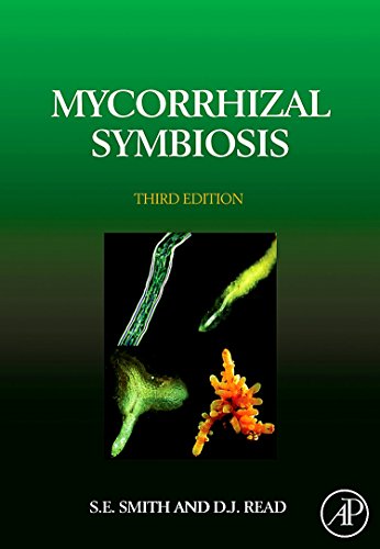 Beispielbild fr Mycorrhizal Symbiosis zum Verkauf von Ria Christie Collections