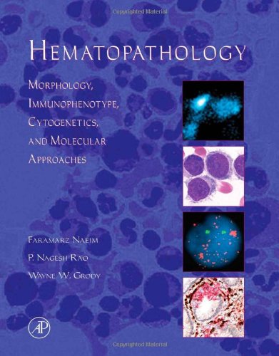 Stock image for Hematopathology: Morphology, Immunophenotype, Cytogenetics, and Molecular Approaches for sale by HPB-Red