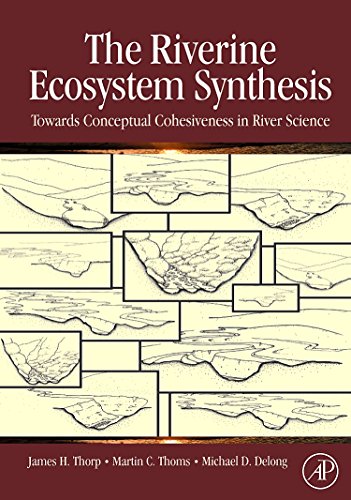 Beispielbild fr The Riverine Ecosystem Synthesis : Toward Conceptual Cohesiveness in River Science zum Verkauf von Better World Books