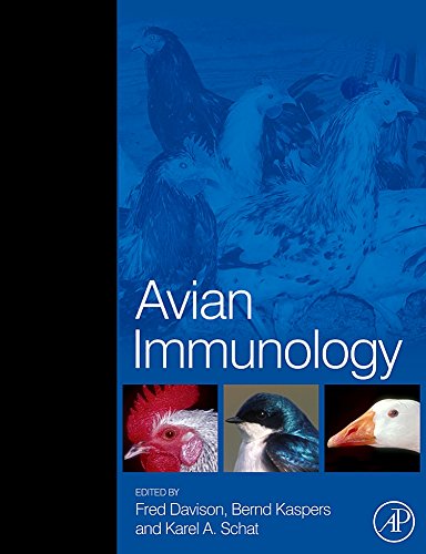 Beispielbild fr Avian Immunology zum Verkauf von Mispah books