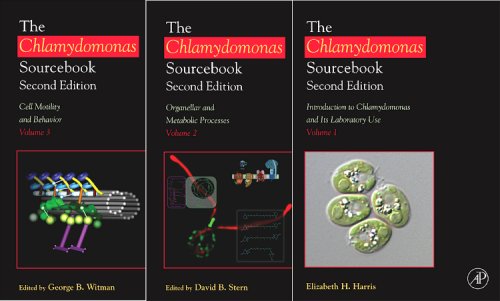 9780123708731: The Chlamydomonas Sourcebook 3-Vol set (The Chlamydomonas Sourcebook)