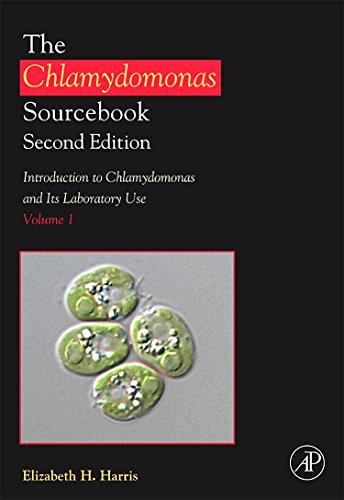 Imagen de archivo de The Chlamydomonas Sourcebook: Introduction to Chlamydomonas and Its Laboratory Use (The Chlamydomonas Sourcebook): 1 a la venta por Chiron Media