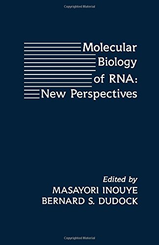 Stock image for Molecular Biology of RNA: New Perspectives for sale by Tiber Books