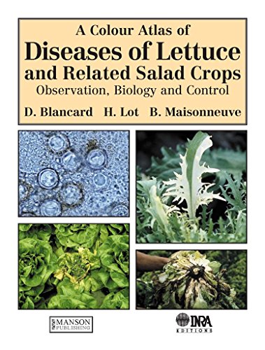 Stock image for A Color Atlas of Diseases of Lettuce and Related Salad Crops for sale by Iridium_Books