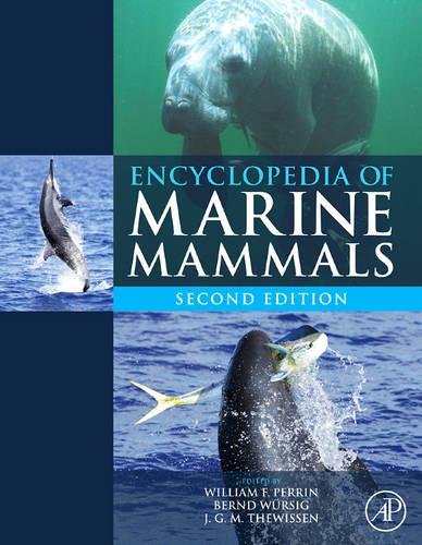 Stock image for Encyclopedia of Marine Mammals for sale by Recycle Bookstore