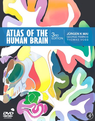 Beispielbild fr Atlas of the Human Brain zum Verkauf von dsmbooks