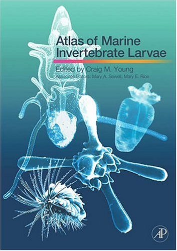 Imagen de archivo de Atlas of Marine Invertebrate Larvae a la venta por Lost Books