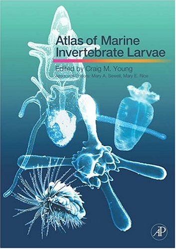 9780123736086: Atlas of Marine Invertebrate Larvae