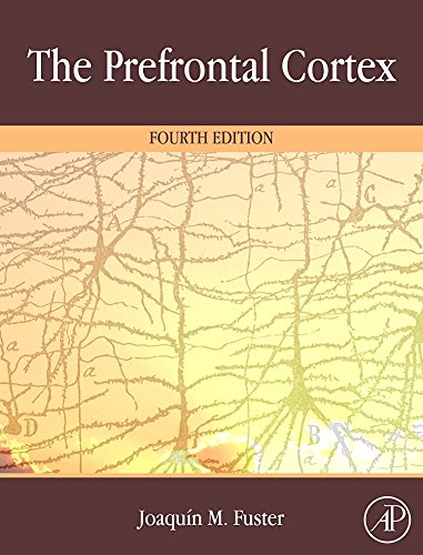 Imagen de archivo de The Prefrontal Cortex, Fourth Edition a la venta por Ergodebooks