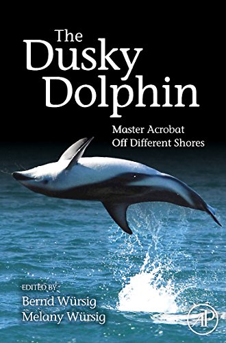 Beispielbild fr The Dusky Dolphin: Master Acrobat Off Different Shores zum Verkauf von Chiron Media