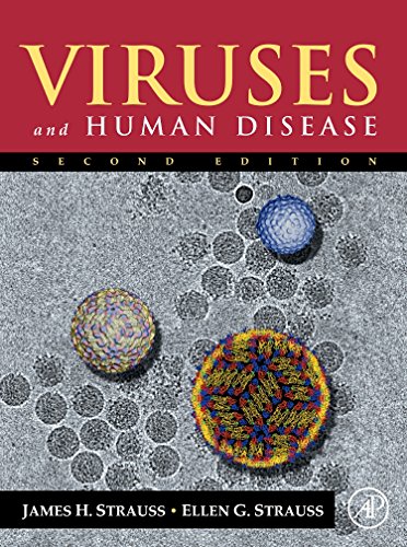 Imagen de archivo de Viruses and Human Disease a la venta por TextbookRush