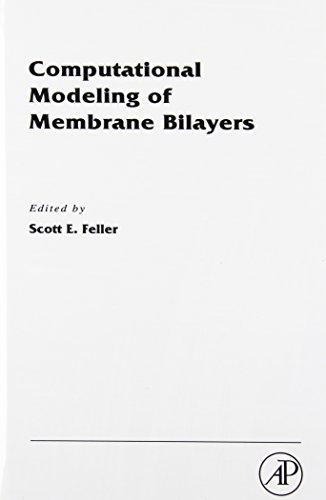 Stock image for Computational Modeling of Membrane Bilayers (Current Topics in Membranes): Volume 60 for sale by Chiron Media