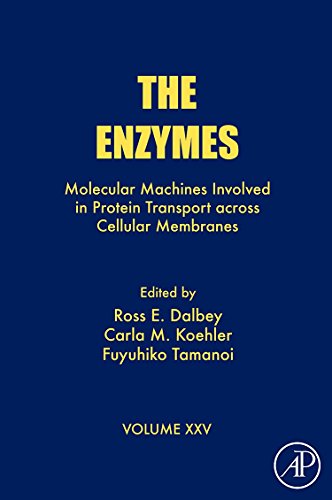 Stock image for The Enzymes: Molecular Machines Involved in Protein Transport across Cellular Membranes (Volume 25) (The Enzymes, Volume 25) for sale by Solr Books