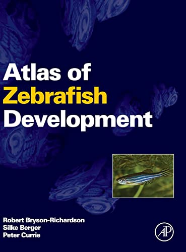 9780123740168: Atlas of Zebrafish Development