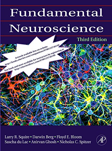 Stock image for Fundamental Neuroscience: 3rd Edition for sale by WorldofBooks