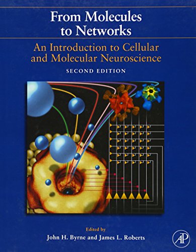 Stock image for From Molecules to Networks: An Introduction to Cellular and Molecular Neuroscience for sale by Best and Fastest Books