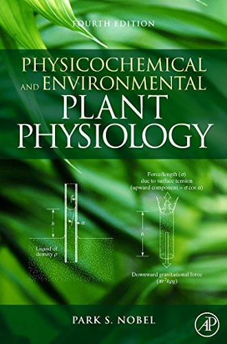 Imagen de archivo de Physicochemical and Environmental Plant Physiology (Fourth Edition) a la venta por Anybook.com