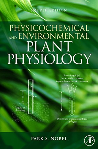 Stock image for Physicochemical and Environmental Plant Physiology for sale by ThriftBooks-Atlanta
