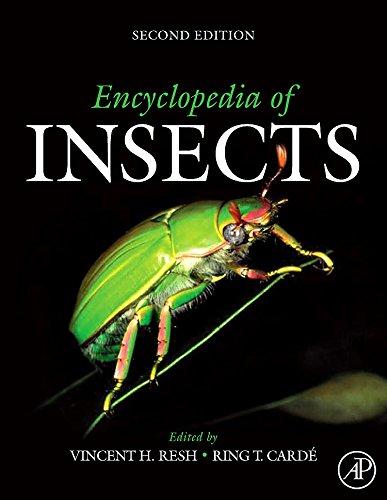 Stock image for Encyclopedia of Insects for sale by Better World Books