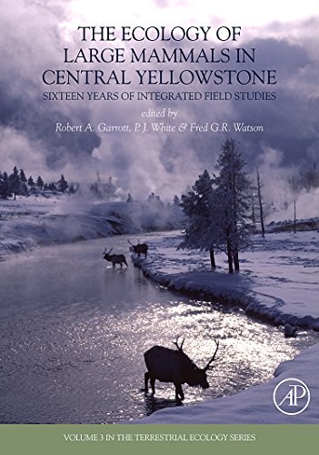 Stock image for The Ecology of Large Mammals in Central Yellowstone: Sixteen Years of Integrated Field Studies (Terrestrial Ecology) for sale by Revaluation Books