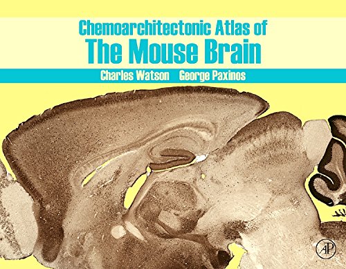 9780123742384: Chemoarchitectonic Atlas of the Mouse Brain