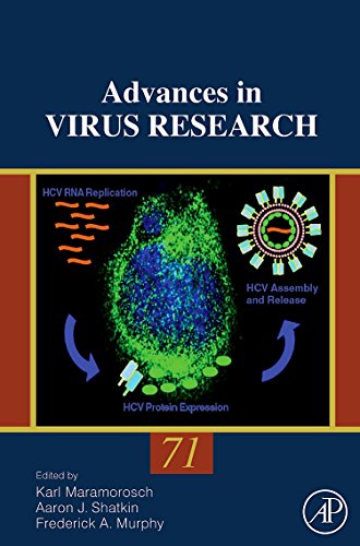 Imagen de archivo de Advances in Virus Research: Vol. 71: Volume 71 a la venta por Chiron Media