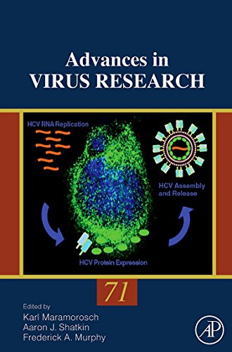 Stock image for Advances in Virus Research: Vol. 71: Volume 71 for sale by Chiron Media