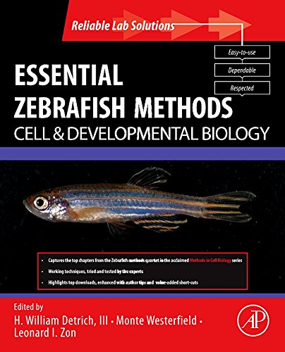 Beispielbild fr Essential Zebrafish Methods: Cell and Developmental Biology (Reliable Lab Solutions) zum Verkauf von HPB-Red