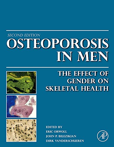 Stock image for Osteoporosis In Men: The Effects of Gender on Skeletal Health for sale by Romtrade Corp.