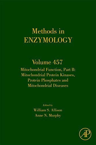 Stock image for Mitochondrial Function, Part B: 457 (Methods in Enzymology): Mitochondrial Protein Kinases, Protein Phosphatases and Mitochondrial Diseases: Volume 457 for sale by Chiron Media