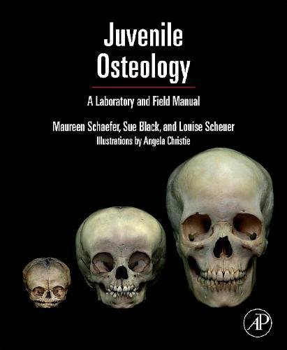 Beispielbild fr Juvenile Osteology: A Laboratory and Field Manual zum Verkauf von Monster Bookshop