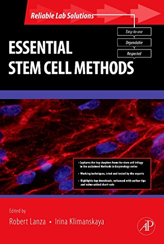 Beispielbild fr Essential Stem Cell Methods: Reliable mLab Solutions zum Verkauf von Anybook.com