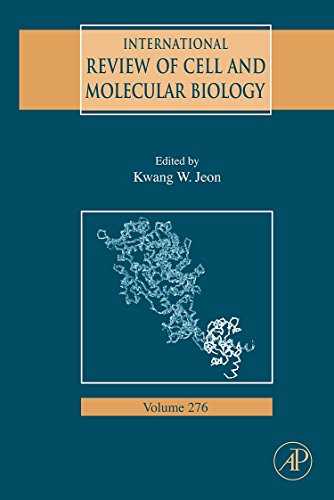 Stock image for International Review of Cell and Molecular Biology for sale by Books Puddle