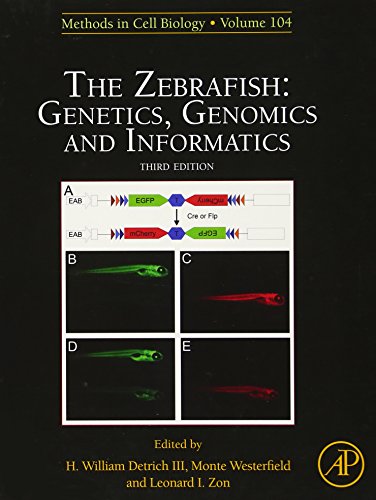 9780123748140: The Zebrafish: Genetics, Genomics and Informatics 3rd Edition: 135 (Methods in Cell Biology): Volume 135