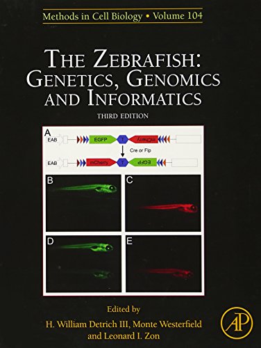 Stock image for The Zebrafish: Genetics, Genomics and Informatics: Vol 103 for sale by Revaluation Books