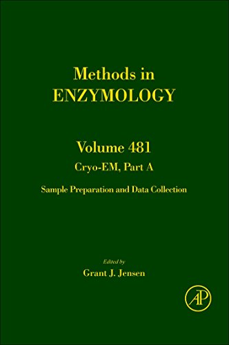 9780123749062: Cryo-EM Part A: Sample Preparation and Data Collection (Methods in Enzymology): Volume 481