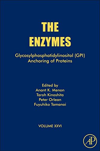 9780123749635: The Enzymes: Glycosylphosphatidylinositol Gpi Anchoring of Proteins: 26