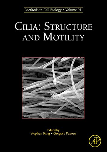 9780123749734: Cilia: Structure and Motility (Volume 91) (Methods in Cell Biology, Volume 91)