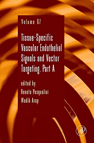 Stock image for Tissue-Specific Vascular Endothelial Signals and Vector Targeting, Part A for sale by Better World Books