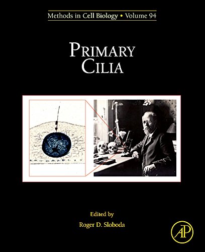 Stock image for Primary Cilia: 94 (Methods in Cell Biology) for sale by Chiron Media