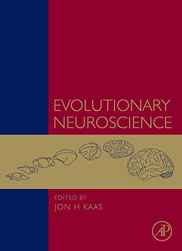 Imagen de archivo de Evolutionary Neuroscience a la venta por Revaluation Books