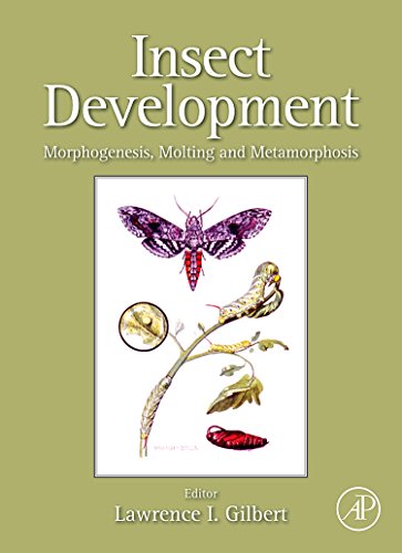 9780123751362: Insect Development: Morphogenesis, Molting and Metamorphosis