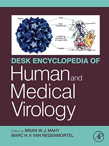 Beispielbild fr Desk Encyclopedia of Human and Medical Virology zum Verkauf von Chiron Media