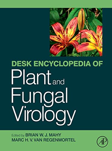 Beispielbild fr Desk Encyclopedia of Plant and Fungal Virology zum Verkauf von Chiron Media