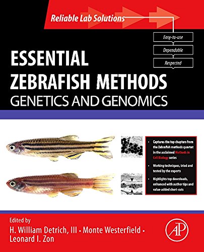 Stock image for Essential Zebrafish Methods: Genetics and Genomics (Reliable Lab Solutions) for sale by HPB-Red