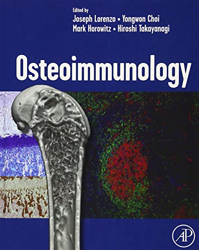 Stock image for Osteoimmunology: Interactions of the Immune and Skeletal Systems for sale by HPB-Red